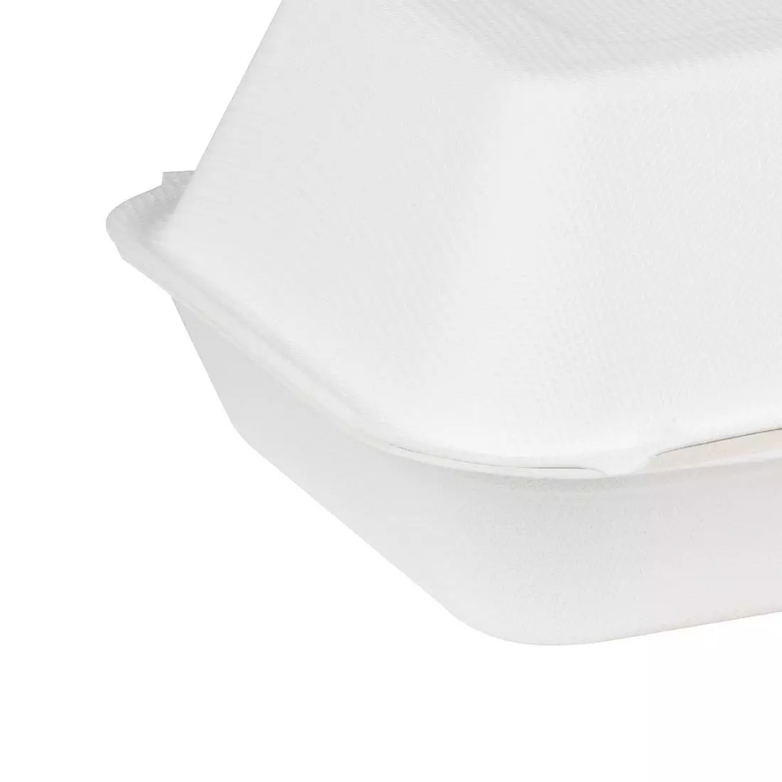 Een Fiesta composteerbare bagasse voedselcontainers 9x6" (pak van 200) koop je bij ShopXPress