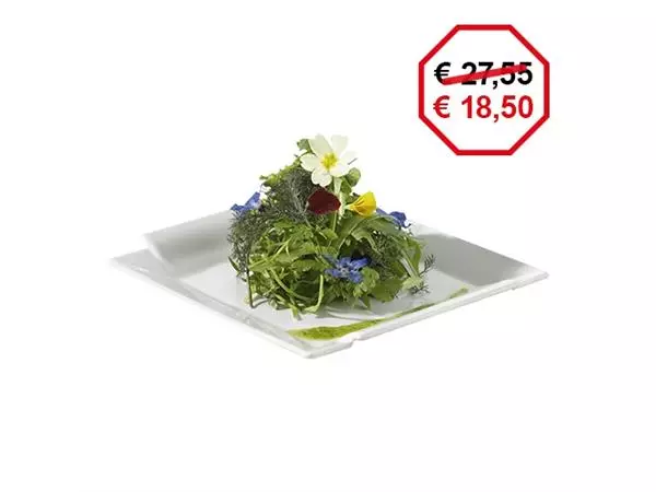 Een bord 31x31cm koop je bij ShopXPress