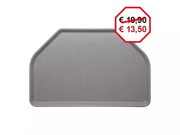 Een dienblad 50x32,5cm koop je bij ShopXPress