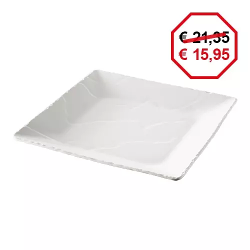 Een bord 28x28cm koop je bij ShopXPress