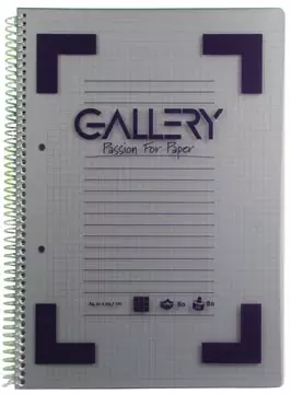 Een Gallery Traditional spiraalschrift ft A4, geruit 5 mm, geassorteerde kleuren, 160 bladzijden koop je bij ShopXPress