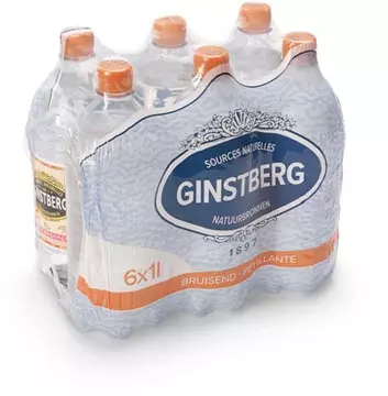 Een Ginstberg natuurlijk mineraalwater, bruisend, fles van 1 l, pak van 6 stuks koop je bij ShopXPress