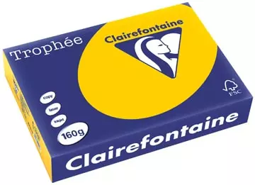 Een Clairefontaine Trophée Intens, gekleurd papier, A4, 160 g, 250 vel, zonnebloemgeel koop je bij ShopXPress