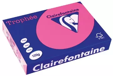 Een Clairefontaine Trophée Pastel, gekleurd papier, A4, 120 g, 250 vel, felroze koop je bij ShopXPress