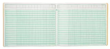 Vous pouvez acheter un Exacompta registres, ft 27 x 32 cm, 13 colonnes sur 1 page, 31 lignes, 80 pages chez Supplierz BV