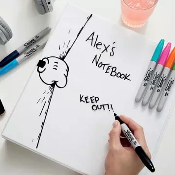 Een Sharpie permanente marker, fijn, blister van 18 stuks in geassorteerde kleuren koop je bij ShopXPress