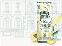 Een Maison Perrier mocktail Citrus Fizz, citroen- en kruidensmaak, blik van 25 cl, pak van 4 stuks koop je bij ShopXPress