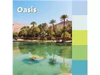 Een Post-it Super Sticky notes Oasis, 90 vel, ft 76 x 76 mm, geassorteerde kleuren, pak van 5 blokken koop je bij ShopXPress
