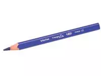 Een Bic kleurpotlood Ecolutions Evolution Triangle 12 potloden in een kartonnen etui koop je bij ShopXPress