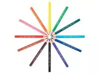 Een Bic kleurpotlood Ecolutions Evolution Triangle 12 potloden in een kartonnen etui koop je bij ShopXPress