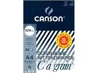 Een Canson tekenblok C à grain® ft A4, papier van 224 g/m² koop je bij ShopXPress