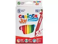 Een Carioca viltstift Superwashable Joy, 12 stiften in een kartonnen etui koop je bij ShopXPress