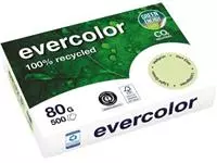 Een Clairefontaine Evercolor, gekleurd gerecycleerd papier, A4, 80 g, 500 vel, lichtgroen koop je bij ShopXPress