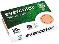 Een Clairefontaine Evercolor, gekleurd gerecycleerd papier, A4, 80 g, 500 vel, zalm koop je bij ShopXPress