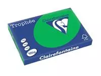 Een Clairefontaine Trophée Intens, gekleurd papier, A3, 120 g, 250 vel, bijartgroen koop je bij ShopXPress