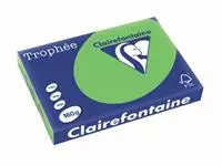 Een Clairefontaine Trophée Intens, gekleurd papier, A3, 160 g, 250 vel, grasgroen koop je bij ShopXPress