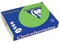 Een Clairefontaine Trophée Intens, gekleurd papier, A4, 120 g, 250 vel, grasgroen koop je bij ShopXPress