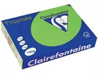 Een Clairefontaine Trophée Intens, gekleurd papier, A4, 160 g, 250 vel, grasgroen koop je bij ShopXPress