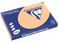 Een Clairefontaine Trophée Pastel, gekleurd papier, A3, 120 g, 250 vel, abrikoos koop je bij ShopXPress