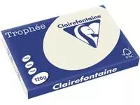 Een Clairefontaine Trophée Pastel, gekleurd papier, A3, 120 g, 250 vel, parelgrijs koop je bij ShopXPress