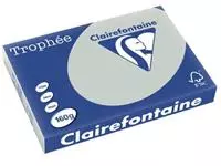 Een Clairefontaine Trophée Pastel, gekleurd papier, A3, 160 g, 250 vel, lichtgrijs koop je bij ShopXPress