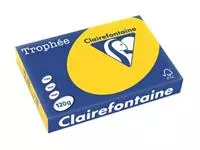 Een Clairefontaine Trophée Pastel, gekleurd papier, A4, 120 g, 250 vel, goudgeel koop je bij ShopXPress