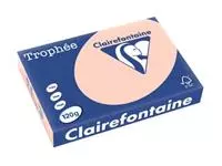 Een Clairefontaine Trophée Pastel, gekleurd papier, A4, 120 g, 250 vel, zalm koop je bij ShopXPress