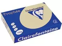 Een Clairefontaine Trophée Pastel, gekleurd papier, A4, 160 g, 250 vel, gems koop je bij ShopXPress