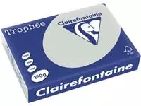 Een Clairefontaine Trophée Pastel, gekleurd papier, A4, 160 g, 250 vel, lichtgrijs koop je bij ShopXPress