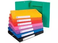 Een Exacompta Elastobox Cartobox rug van 2,5 cm, geassorteerde kleuren: groen, blauw, geel, rood, oranje, ... koop je bij ShopXPress