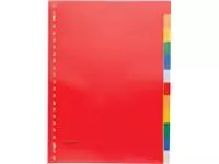 Een Pergamy tabbladen, ft A4, 23-gaatsperforatie, PP, 12 tabs in geassorteerde kleuren koop je bij ShopXPress