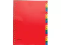 Een Pergamy tabbladen, ft A4, 23-gaatsperforatie, PP, geassorteerde kleuren, A-Z koop je bij ShopXPress