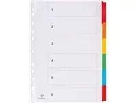 Een Pergamy tabbladen met indexblad, ft A4, 11-gaatsperforatie, geassorteerde kleuren, 6 tabs koop je bij ShopXPress