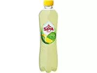 Een Spa Fruit Lemon Cactus, fles van 40 cl, pak van 6 stuks koop je bij ShopXPress