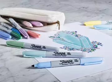 Een Sharpie Mystic Gems permanente marker, blister van 12 stuk koop je bij ShopXPress