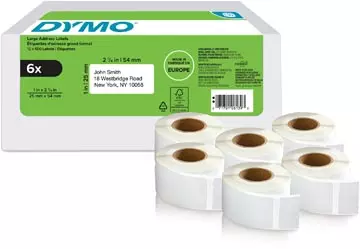 Een Dymo etiketten LabelWriter ft 25 x 54 mm, wit, doos van 6 x 500 etiketten koop je bij ShopXPress