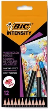 Een Bic aquarelpotlood Intensity, etui van 12 stuks koop je bij ShopXPress