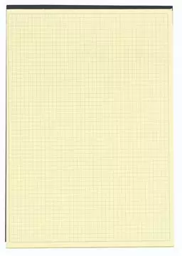 Een Exacompta notitieboeken, ft 29,7 x 21 cm, Black, geel papier, 70 vel, geruit Q5 koop je bij ShopXPress