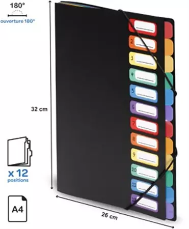 Een Viquel Rainbow Class sorteermap, ft A4, met 12 vakken koop je bij Supplierz BV