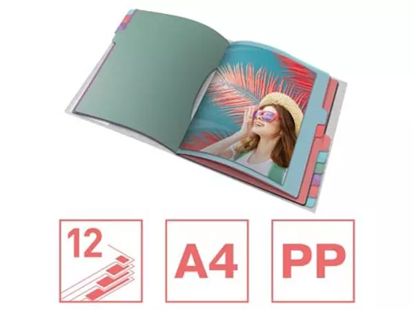 Een Esselte Colour'Breeze sorteermap, PP, ft A4, 12 tabs, assorti koop je bij ShopXPress