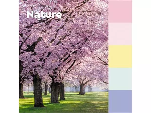 Vous pouvez acheter un Post-it recycled notes Nature, 100 feuilles, ft76 x 76 mm, paquet de 6 blocs, couleurs assorties chez Supplierz BV