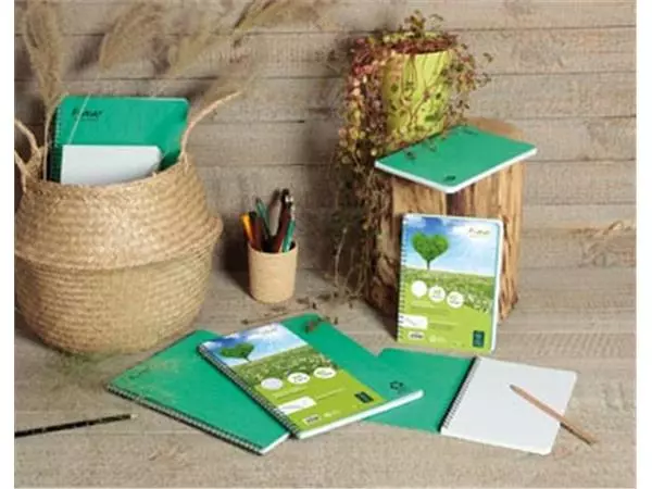 Een Clairefontaine FOREVER spiraalschrift, gerecycleerd, A5, 90g, 120 bladzijden, gelijnd, groen koop je bij ShopXPress