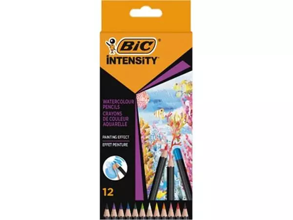 Een Bic aquarelpotlood Intensity, etui van 12 stuks koop je bij ShopXPress