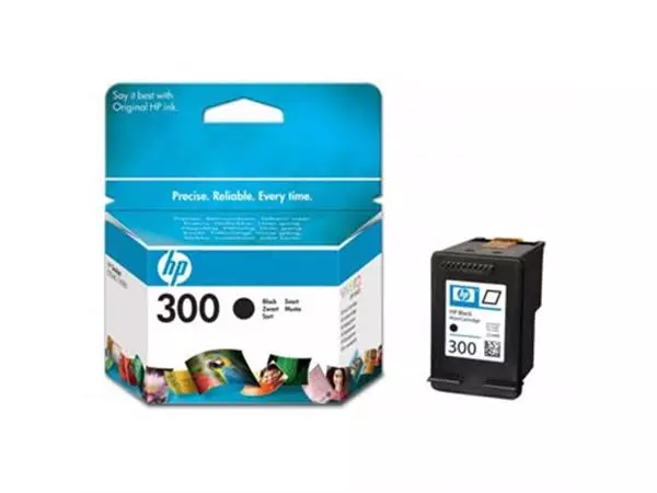 Buy your HP inktcartridge 300, 200 pagina's, OEM CC640EE, zwart at Supplierz BV