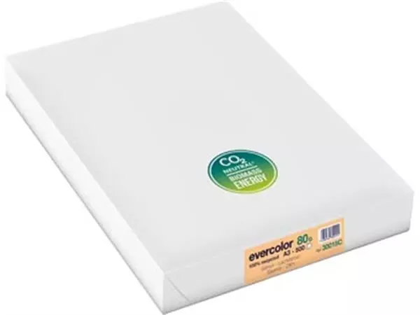 Een Clairefontaine Evercolor gekleurd gerecycleerd papier, A3, 80 g, 500 vel, zalm koop je bij ShopXPress