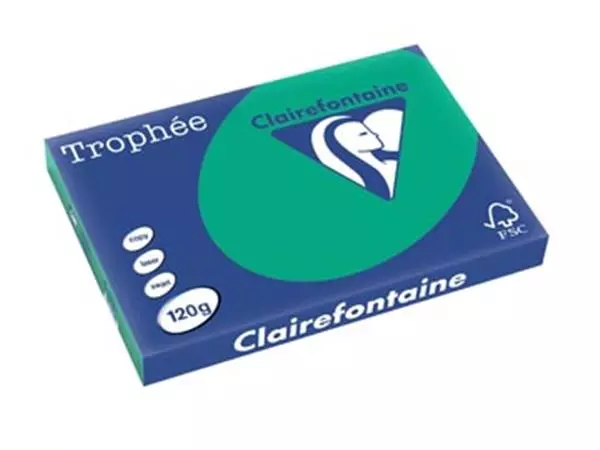 Een Clairefontaine Trophée Intens, gekleurd papier, A3, 120 g, 250 vel, dennengroen koop je bij ShopXPress
