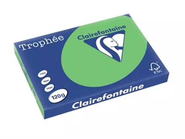 Een Clairefontaine Trophée Intens, gekleurd papier, A3, 120 g, 250 vel, grasgroen koop je bij ShopXPress