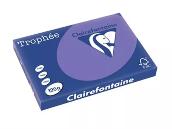 Een Clairefontaine Trophée Intens, gekleurd papier, A3, 120 g, 250 vel, violet koop je bij ShopXPress