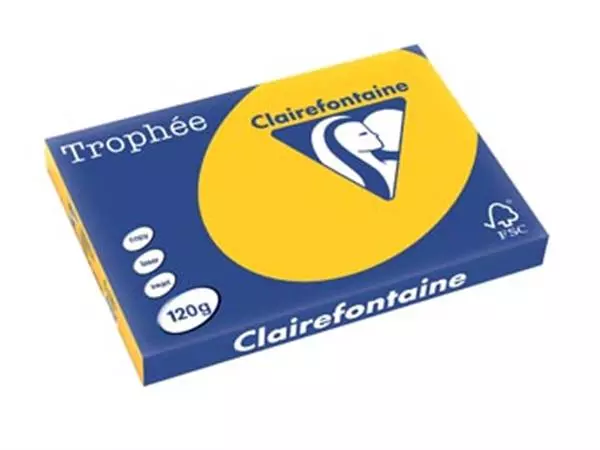 Een Clairefontaine Trophée Intens, gekleurd papier, A3, 120 g, 250 vel, zonnebloemgeel koop je bij ShopXPress