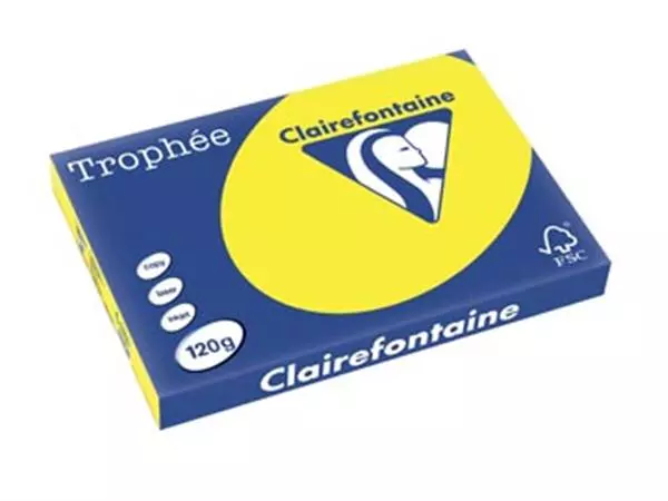 Een Clairefontaine Trophée Intens, gekleurd papier, A3, 120 g, 250 vel, zonnegeel koop je bij ShopXPress